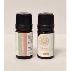 Eterinių aliejų mišinys "Meno pauzė" 5 ml