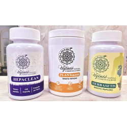 Promotion!  supplements for the pancreas – Planenzym, for the liver Hepaclean, for the intestines  Herbasetis 10% discount