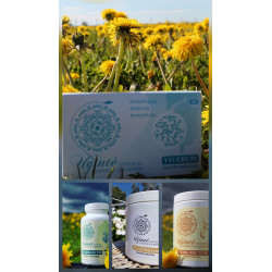 Body cleansing kit. food supplement Fortisum,Herbadictum,Herbasetis,Plantenzym.